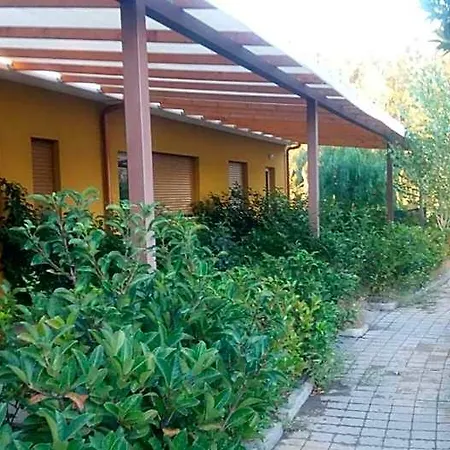 L'ancora *